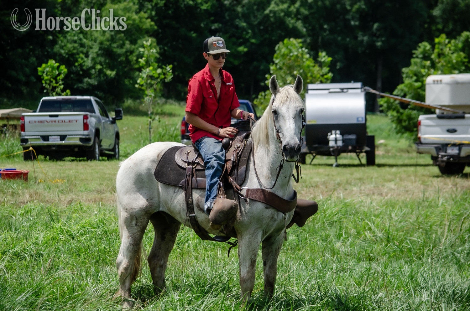 "Virgil" Grey Gelding Draft in Oklahoma