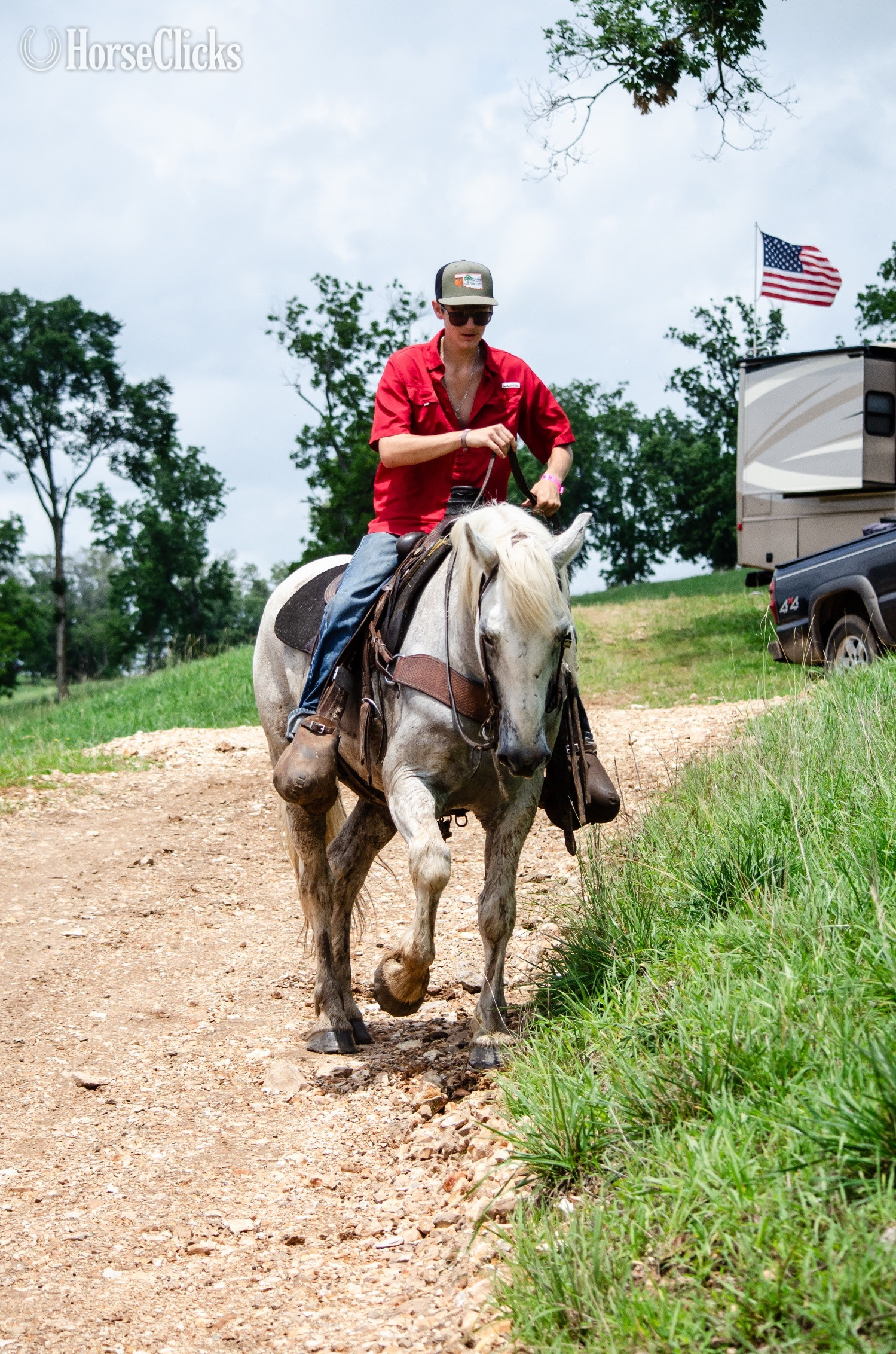 "Virgil" Grey Gelding Draft Oklahoma