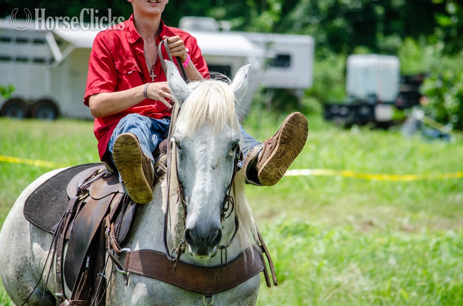 Draft - "Virgil" Grey Gelding Draft in Oklahoma