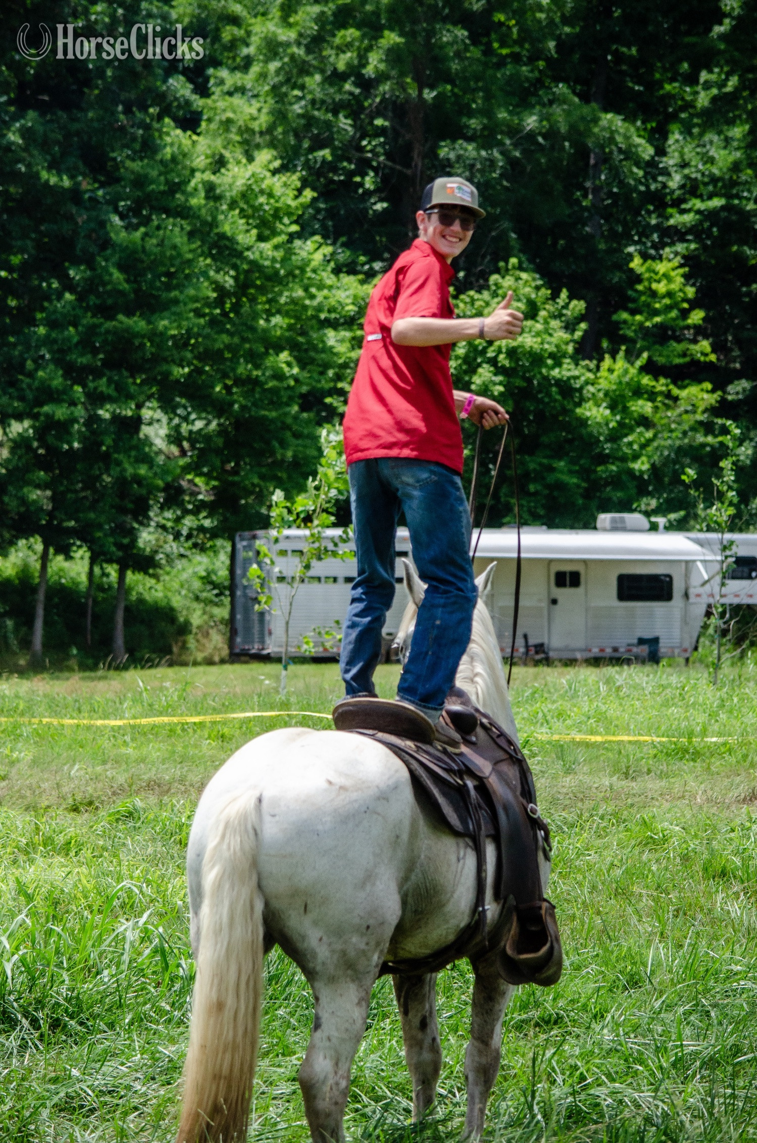 Draft - "Virgil" Grey Gelding Draft