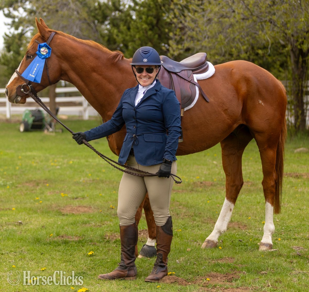 "Slightly Dirty (Rory)" Chestnut Gelding Thoroughbred in Nevada