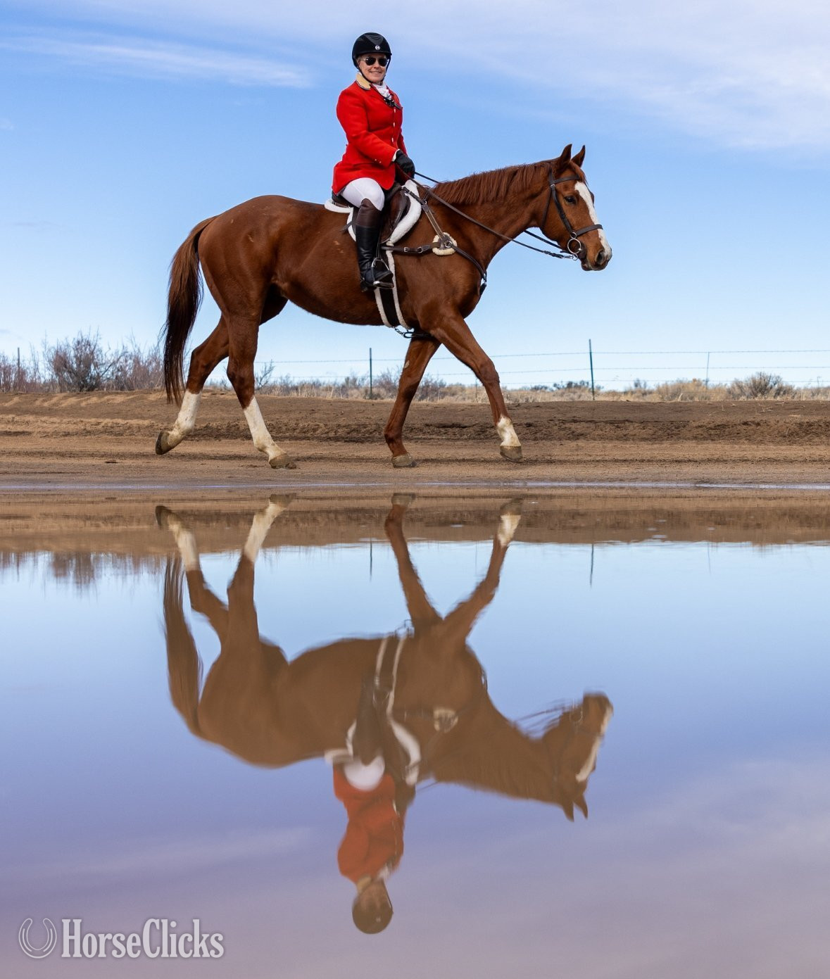 "Slightly Dirty (Rory)" Chestnut Gelding Thoroughbred