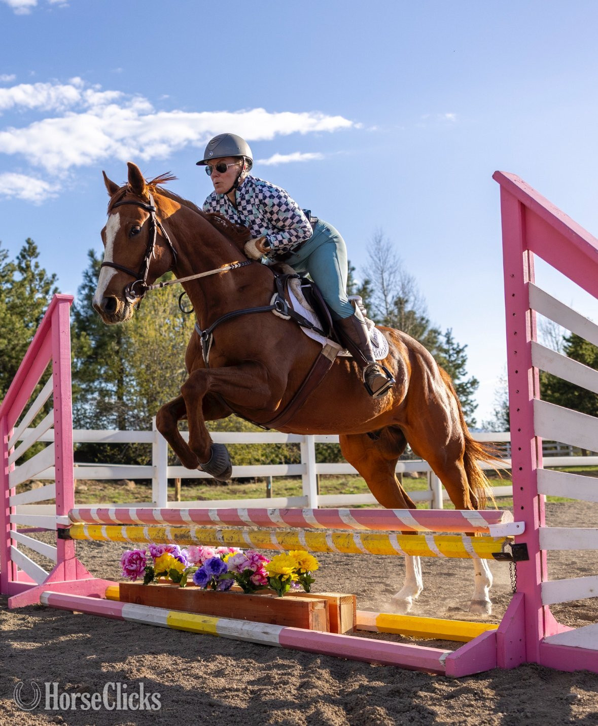 "Slightly Dirty (Rory)" Chestnut Gelding Thoroughbred - Thoroughbred in Nevada