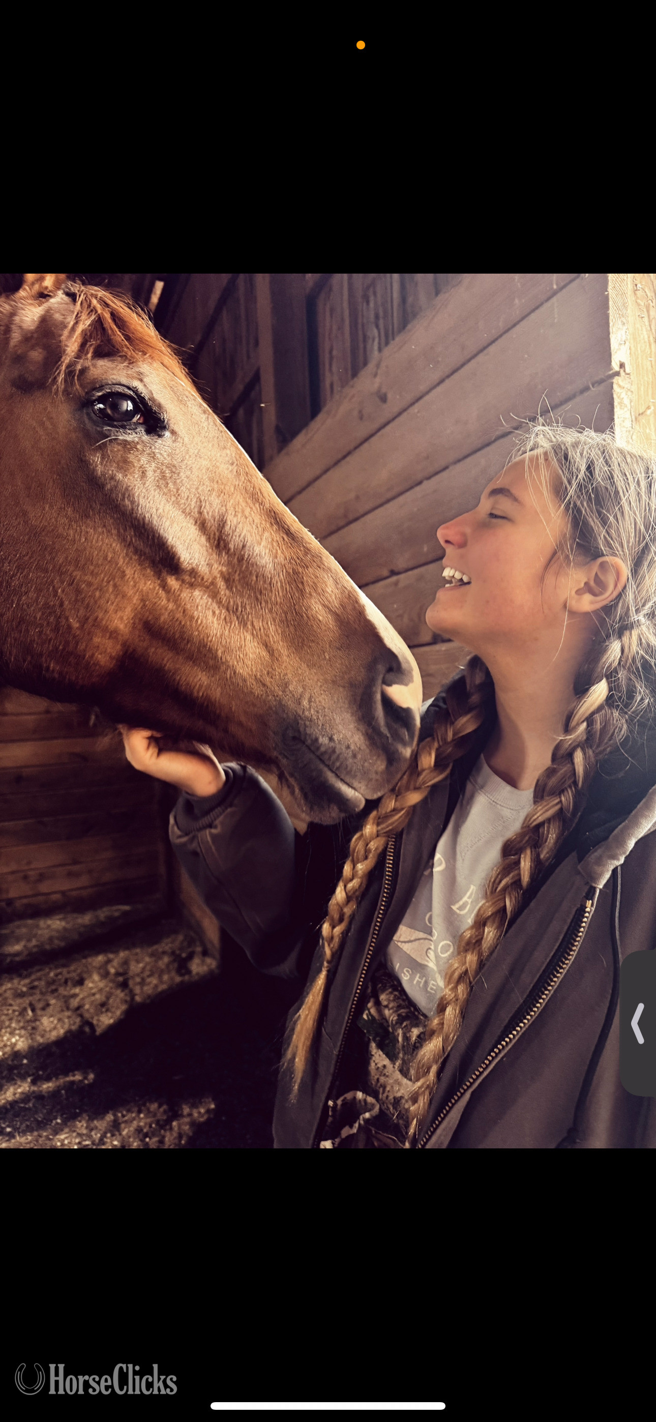 Thoroughbred - "Lola" Chestnut Mare Thoroughbred