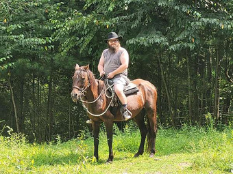 "Ochwalkee Annie" Bay Mare Morgan