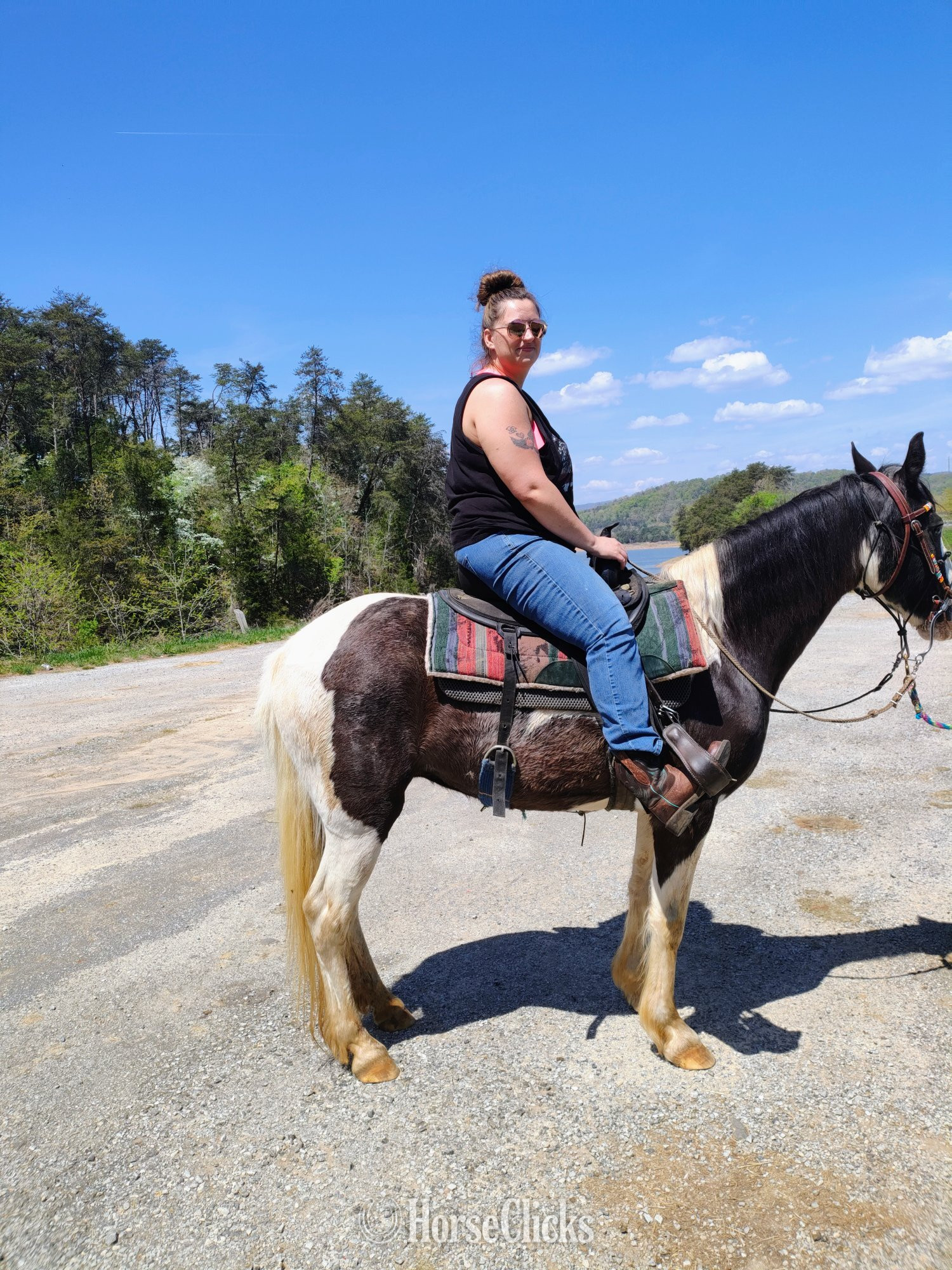 "Oreo" Tri-Color Mare Spotted Saddle - Spotted Saddle in Tennessee