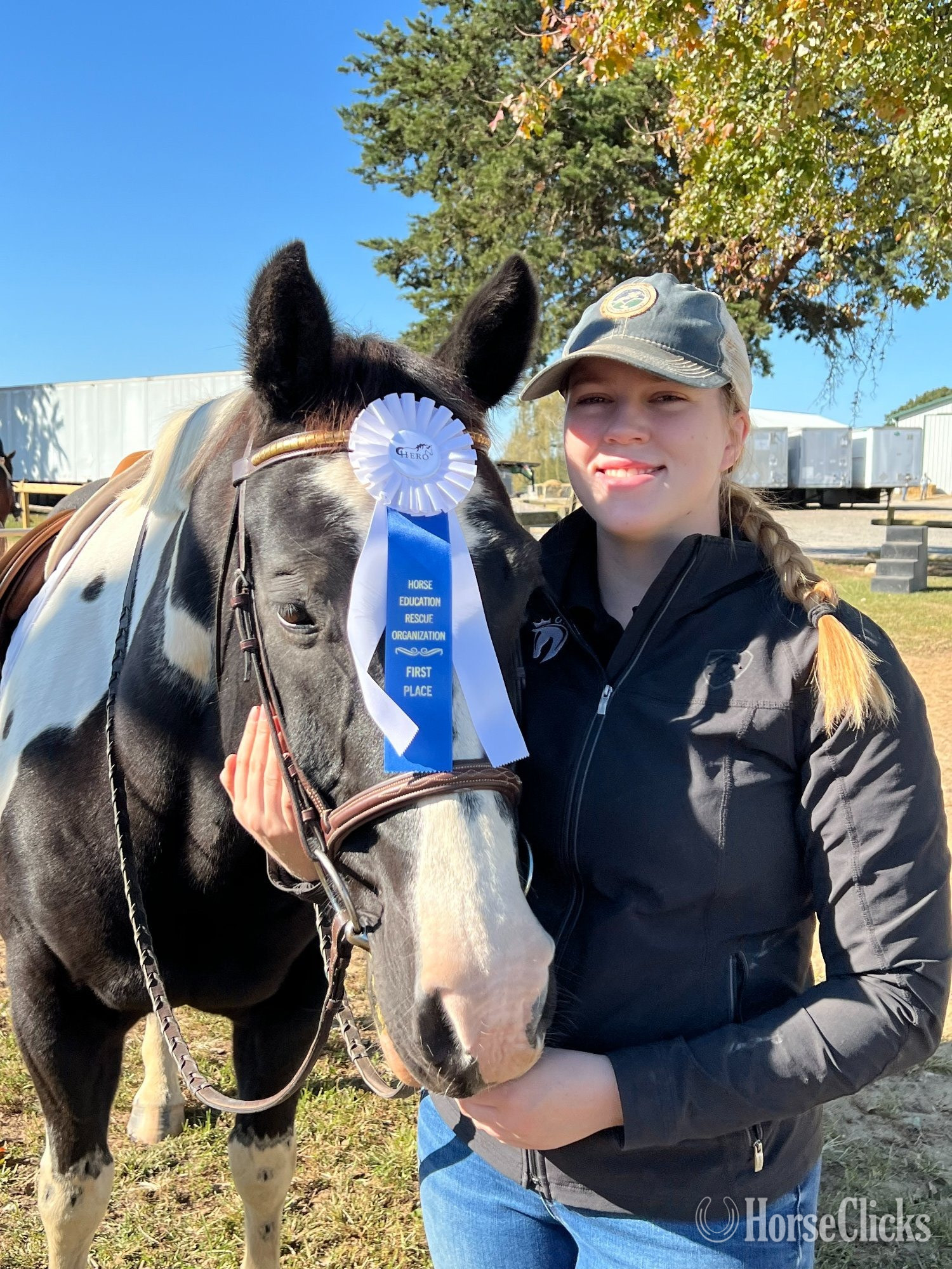 14.2hh Gelding for Lease - 