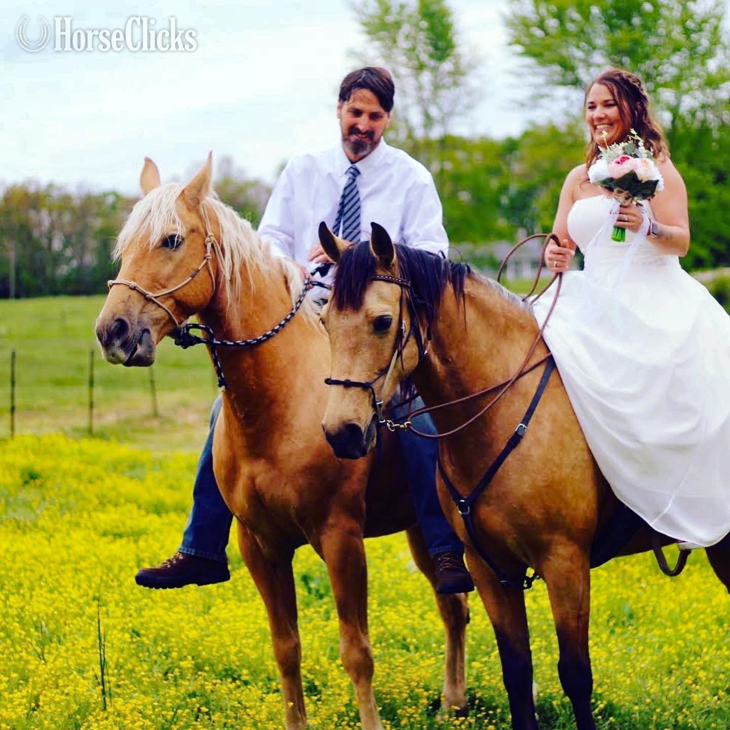 "John Hugh aka Big John " Palomino Gelding Missouri Fox Trotter Missouri