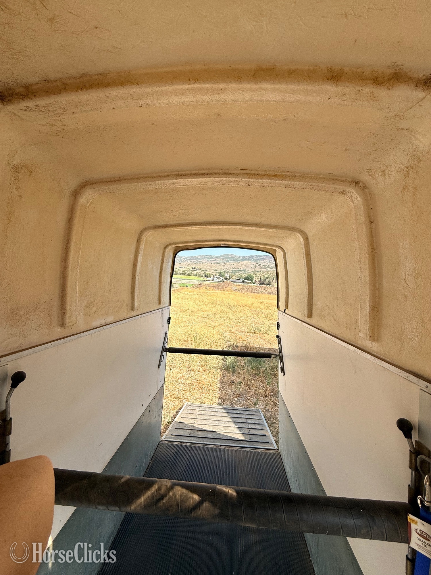 Horse Trailers - 2008 Brenderup Solo Bumper Pull Horse Trailer