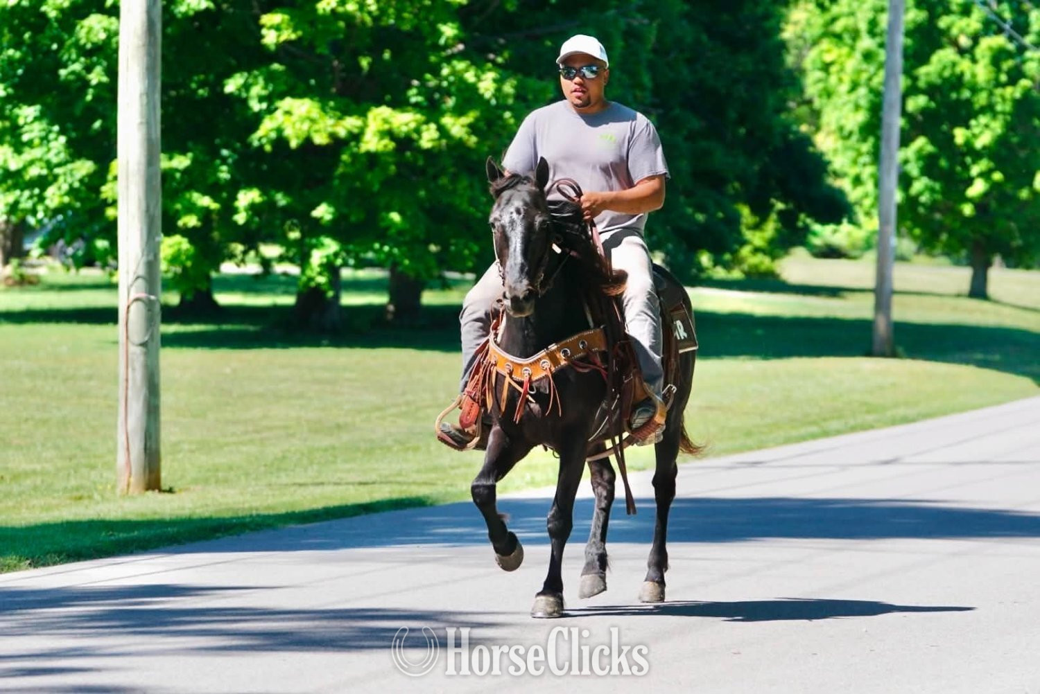 "SPADE" Black Gelding Pony Kentucky