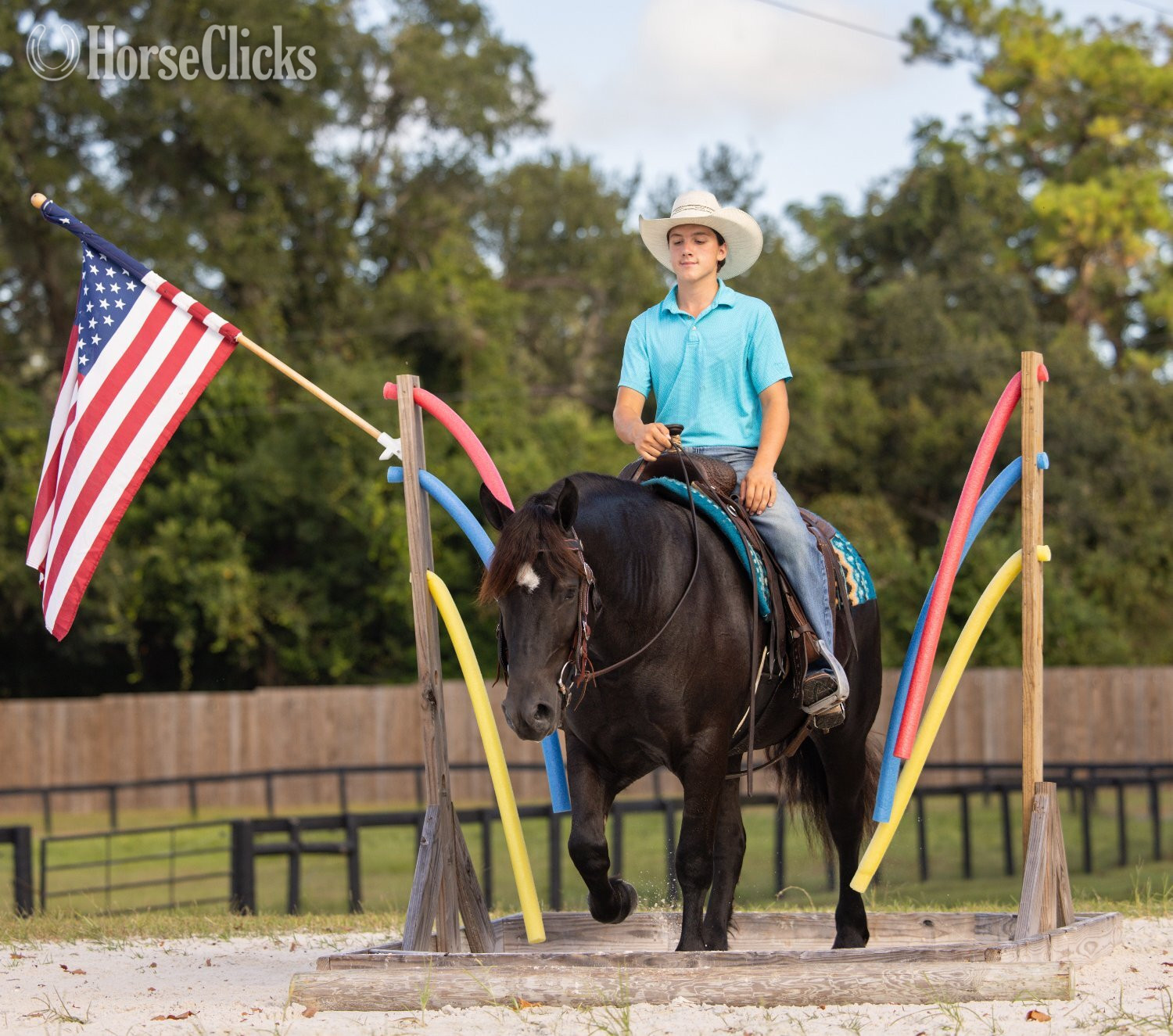 "Namaste" Black Mare Draft