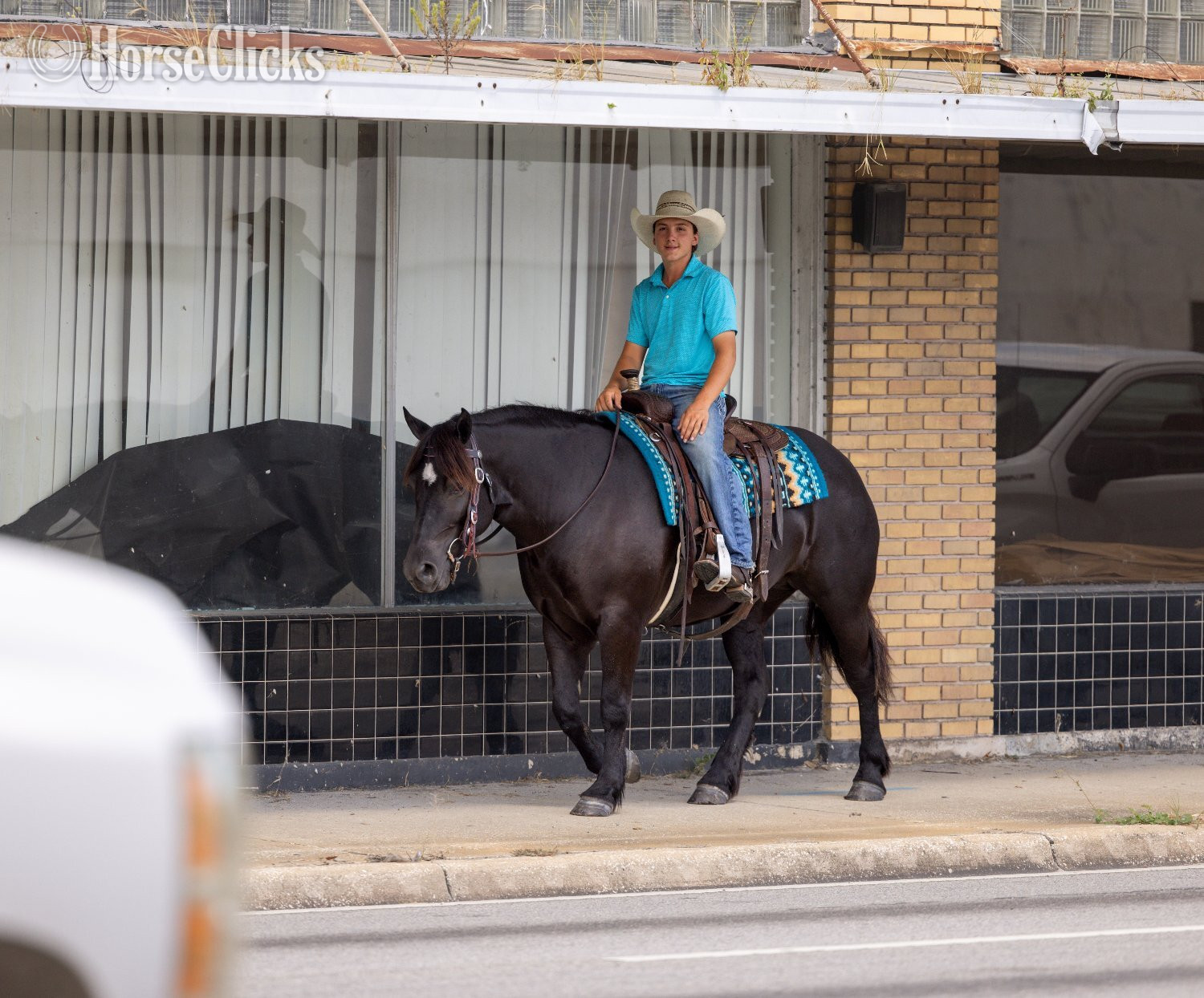 "Namaste" Black Mare Draft - Draft in Florida