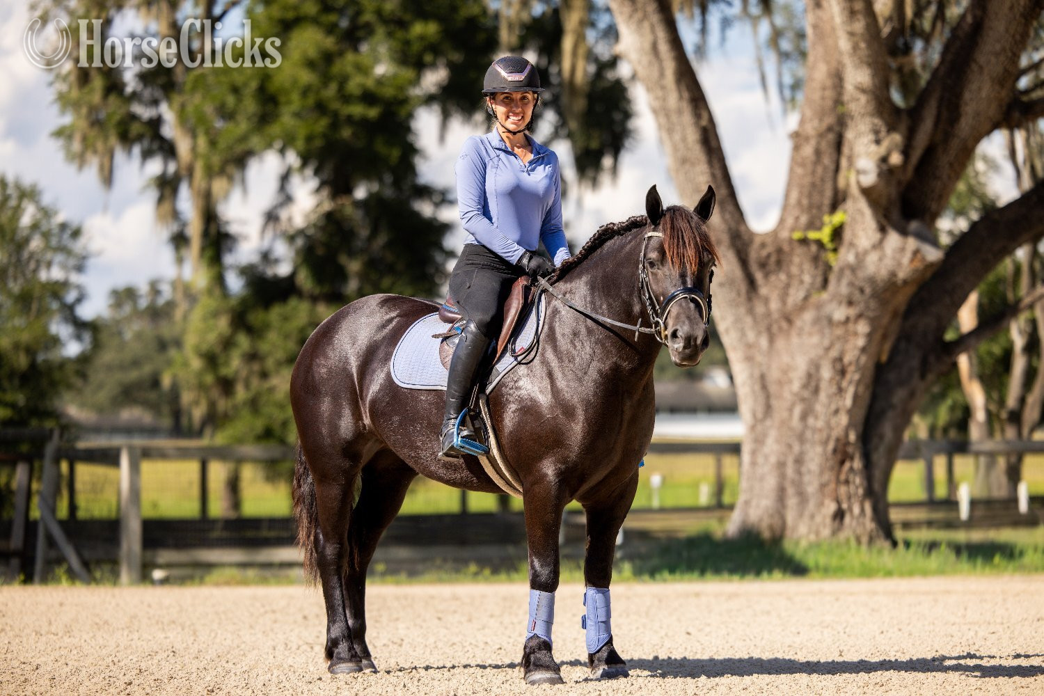 Draft - "Namaste" Black Mare Draft in Florida