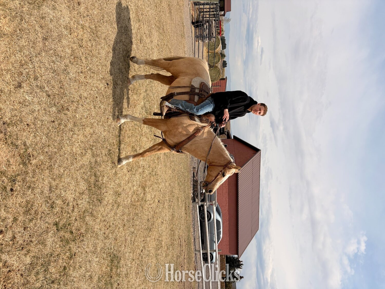 Montana "Shiners Yellow Rose " Palomino Mare Quarter Horse
