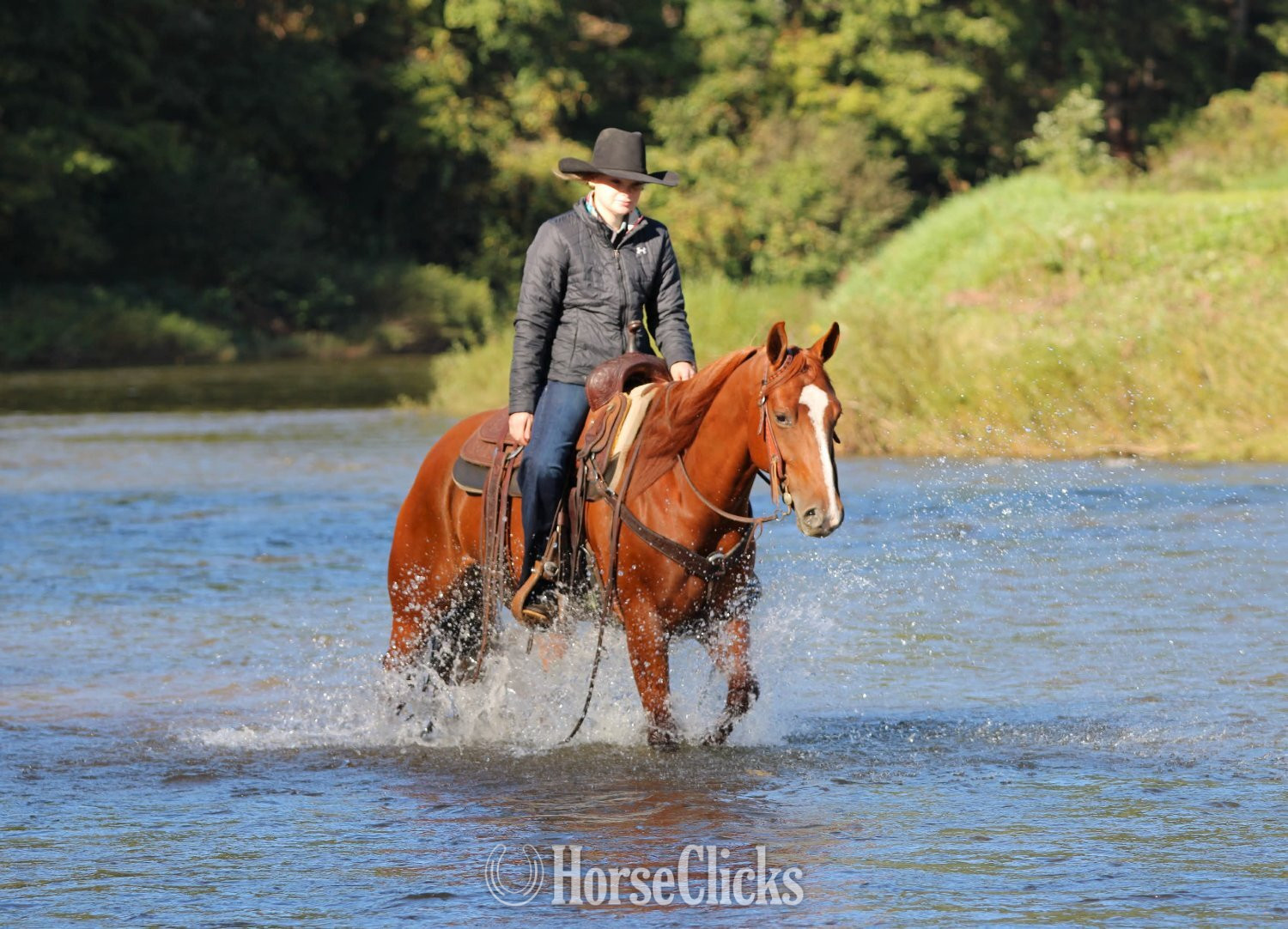 "Lightning McQueen" Sorrel Gelding Quarter Horse Pennsylvania