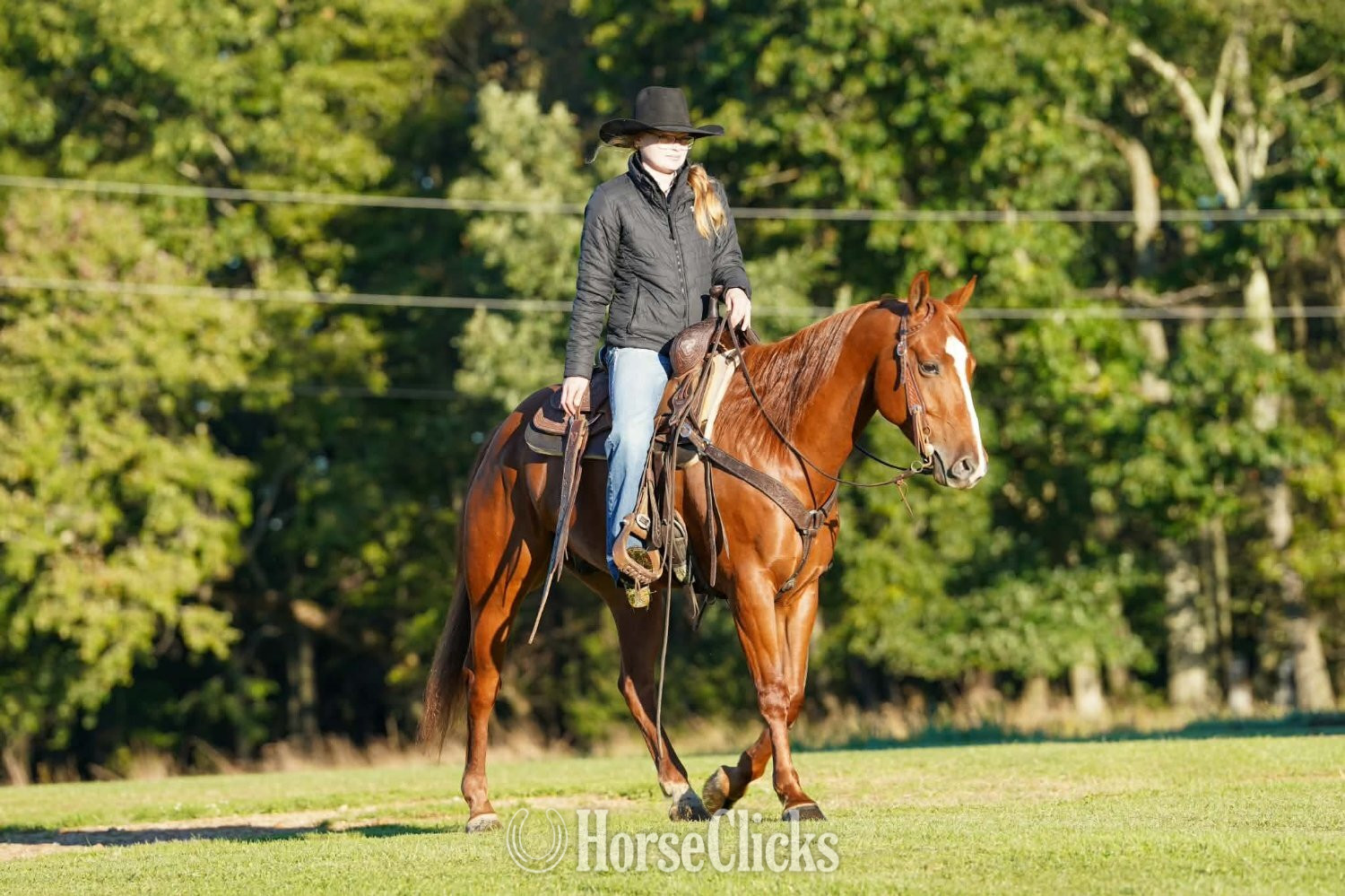 Quarter Horse - "Lightning McQueen" Sorrel Gelding Quarter Horse in Pennsylvania