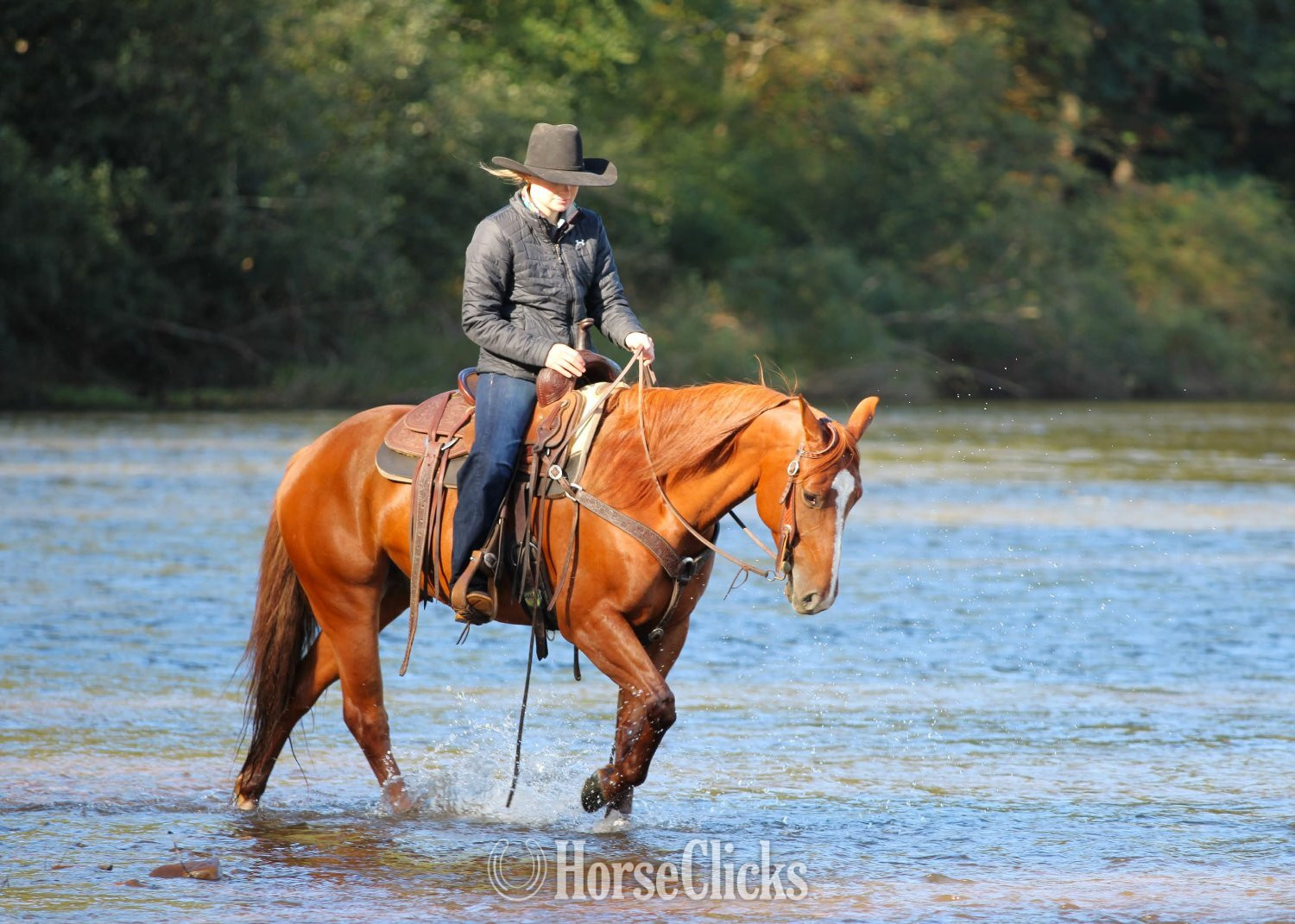 Quarter Horse - "Lightning McQueen" Sorrel Gelding Quarter Horse