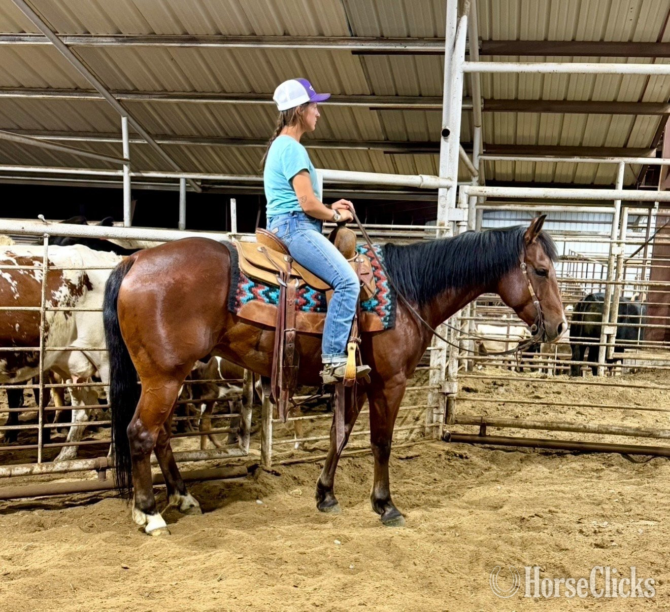 "Poppy " Bay Gelding Quarter Horse Arkansas