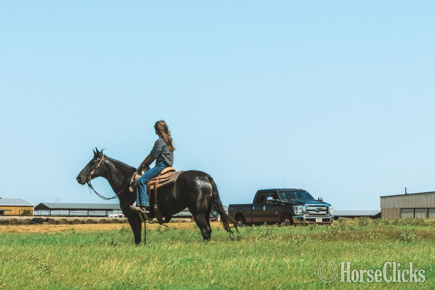 "FLEUR" Black Mare Paso Fino Texas