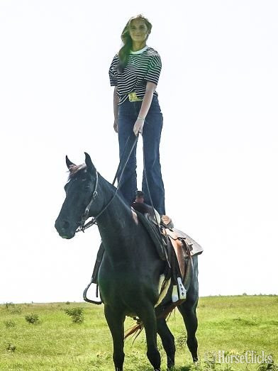 Paso Fino - "FLEUR" Black Mare Paso Fino