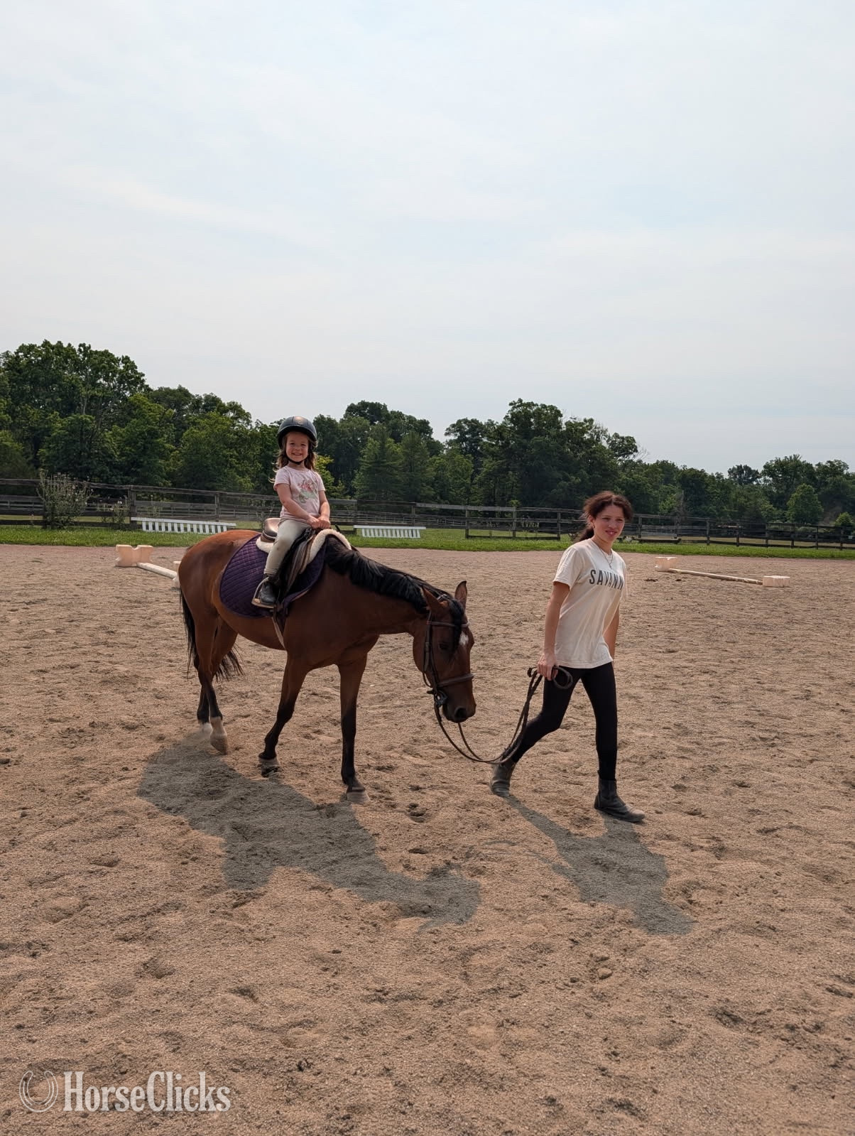 New Jersey "Salsa" Bay Mare Mustang