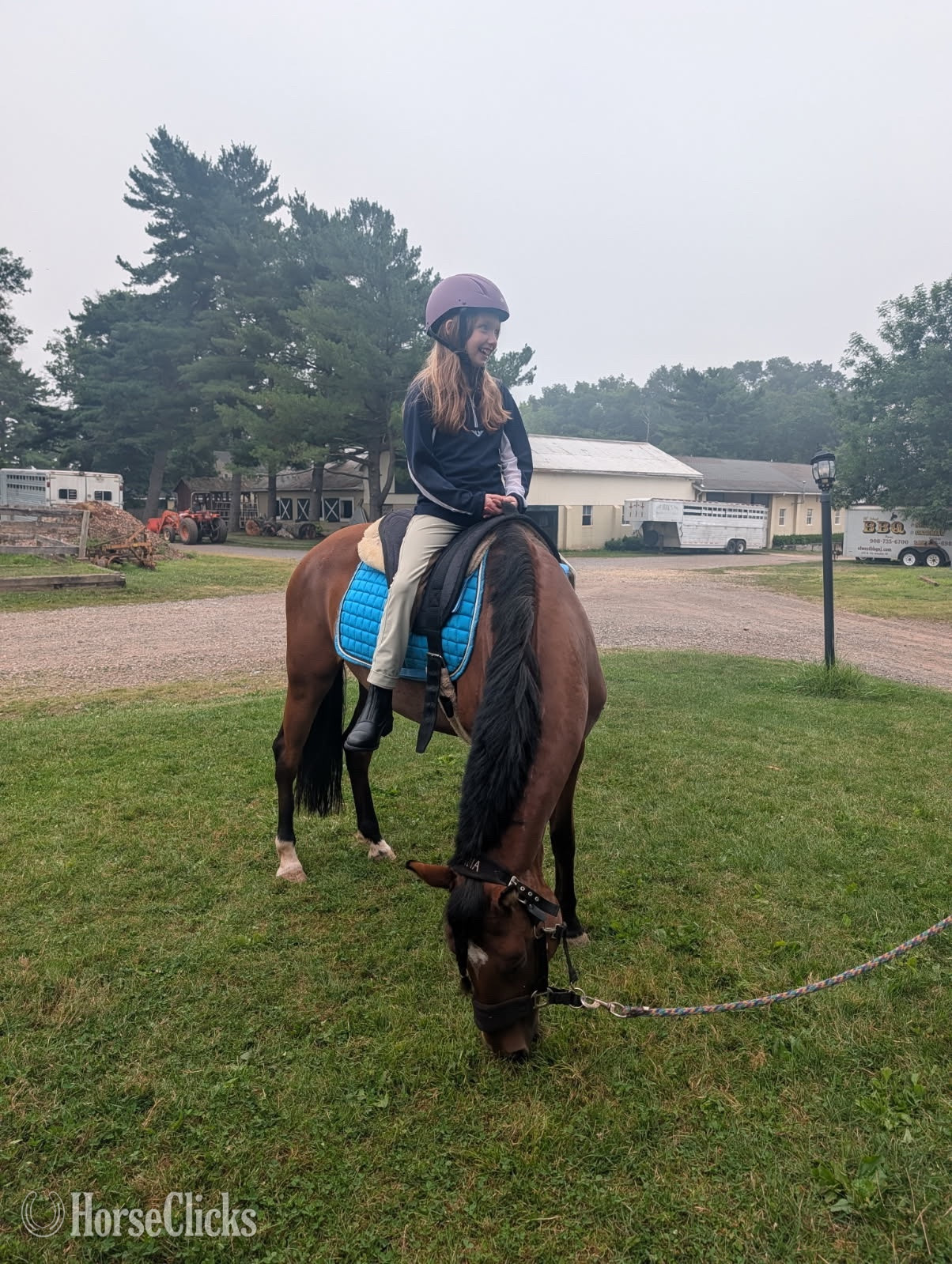 Mustang - "Salsa" Bay Mare Mustang in New Jersey