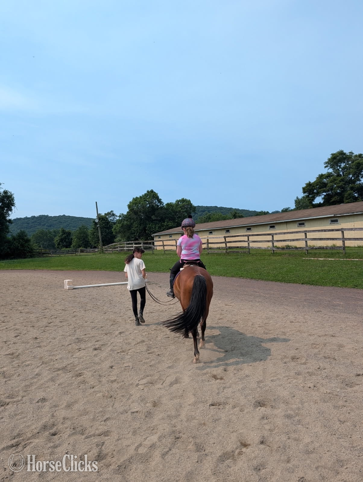 Mustang - "Salsa" Bay Mare Mustang