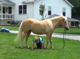 "Barbie " Palomino Mare Quarter Pony