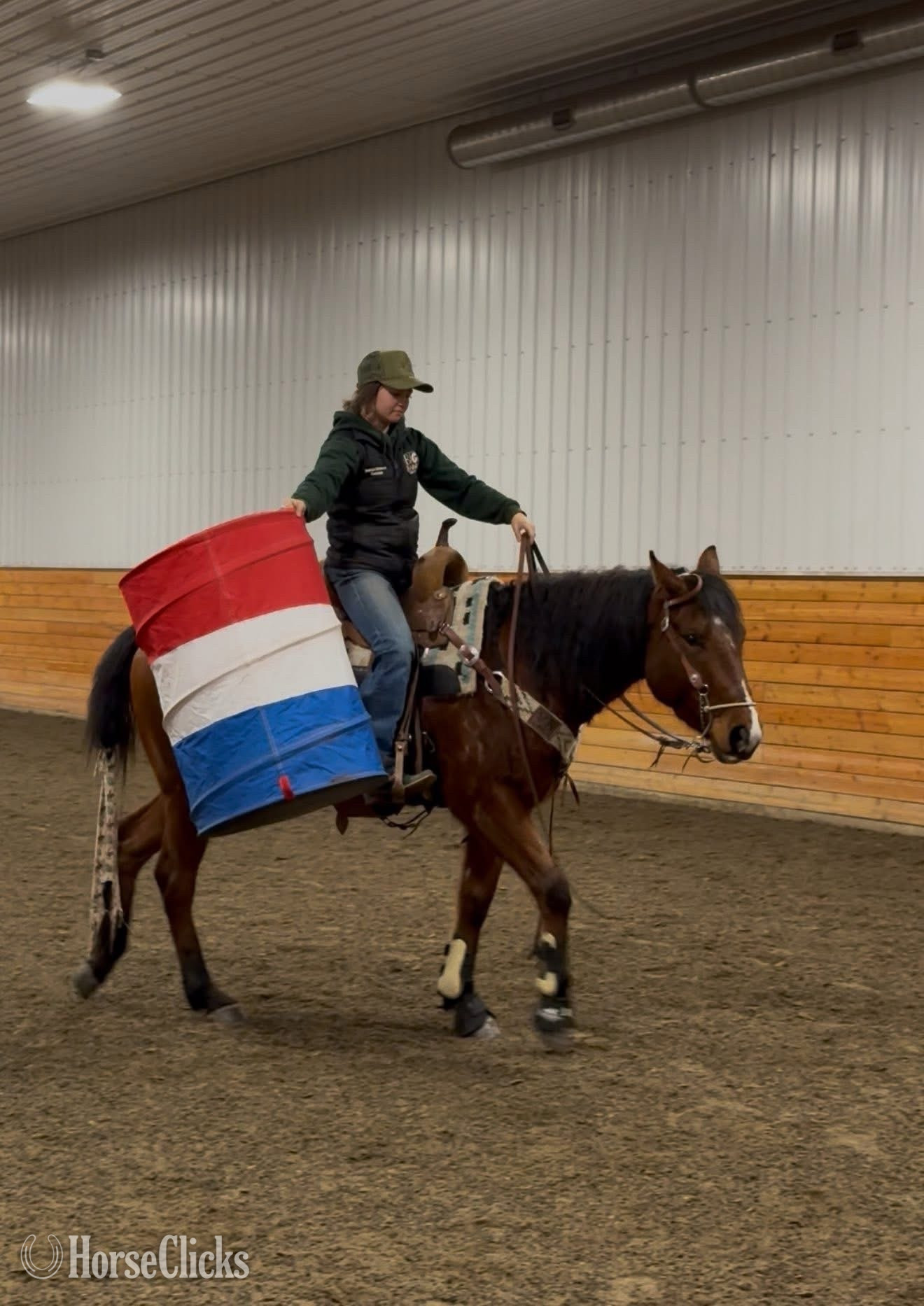 Quarter Horse - "HAWKSLILFRENCHSTOLI" Bay Gelding Quarter Horse