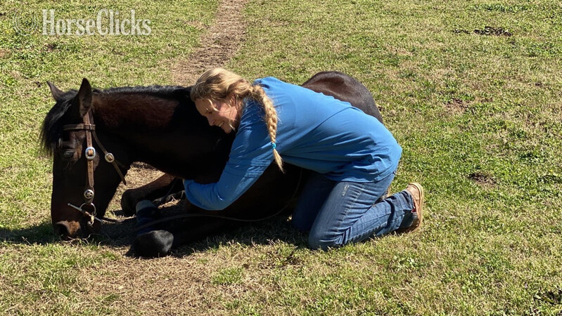 "Baywatcher" Bay Gelding Tennessee Walker Montana