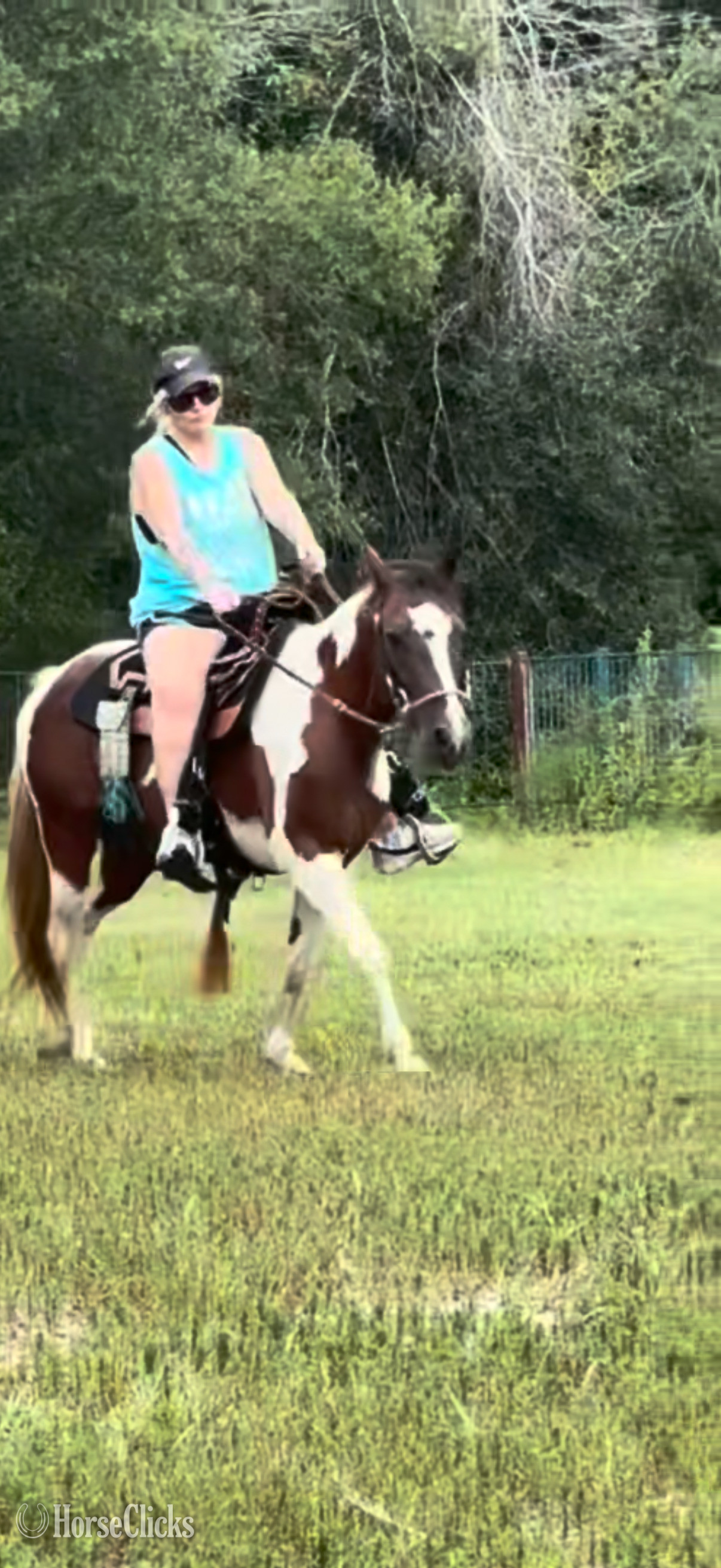 "Lollipop " Tri-Color Mare Quarter Horse in Mississippi