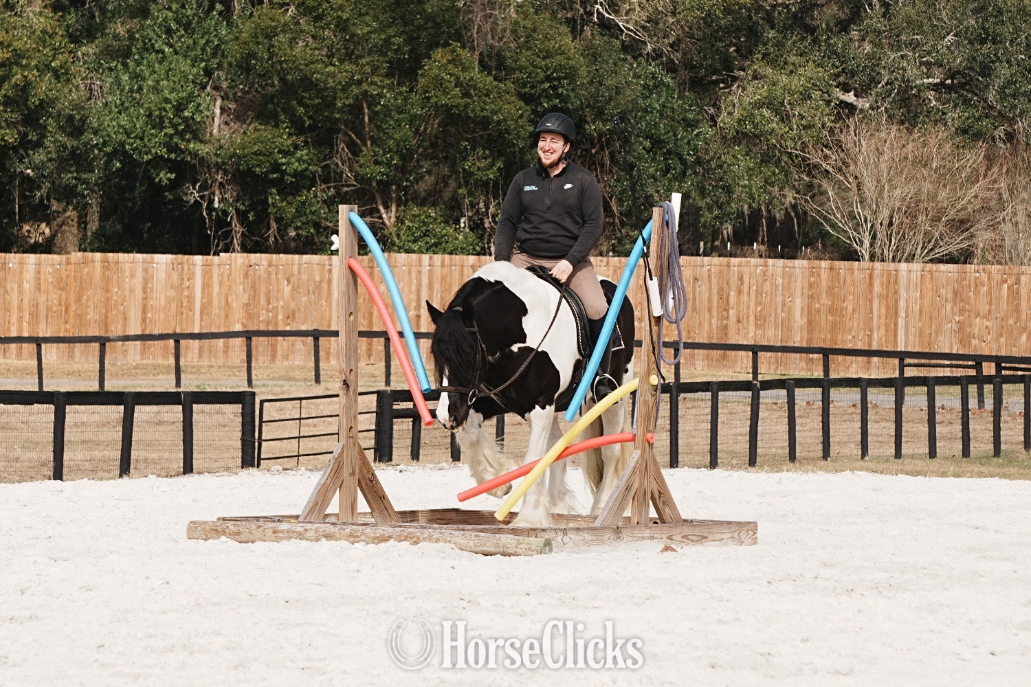"Charlie Waffles" Pinto Gelding Gypsy Vanner - Gypsy Vanner