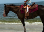 "LODI" Tabiano Mare Paint