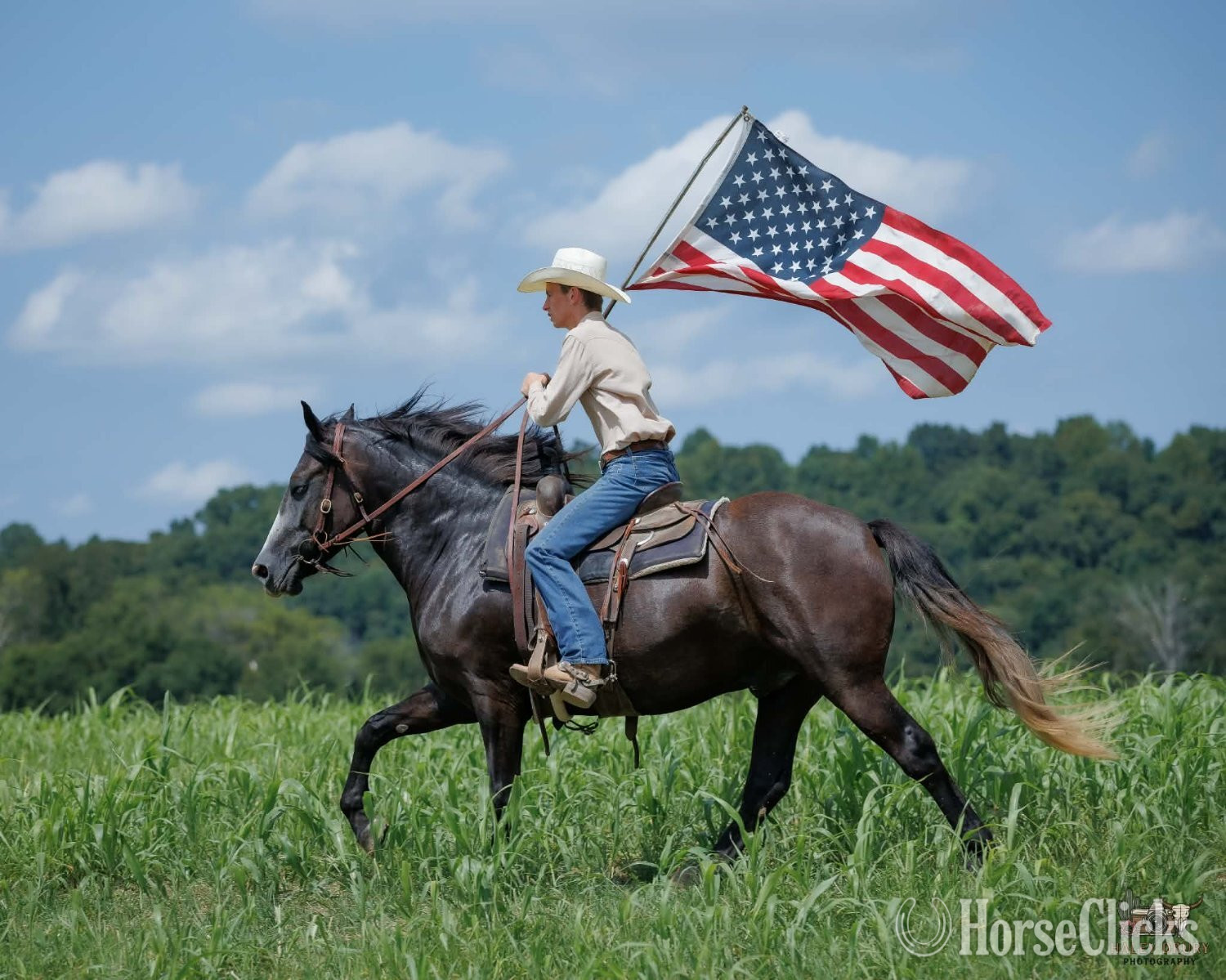 Kentucky "Jim" Grey Gelding Draft