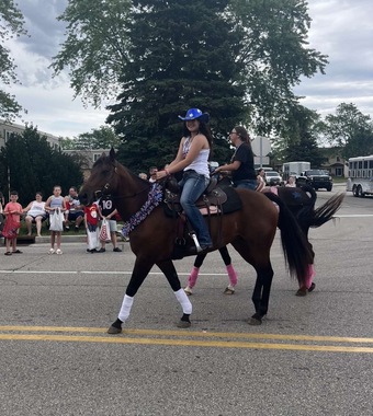 "Peppy" Bay Mare Quarter Horse