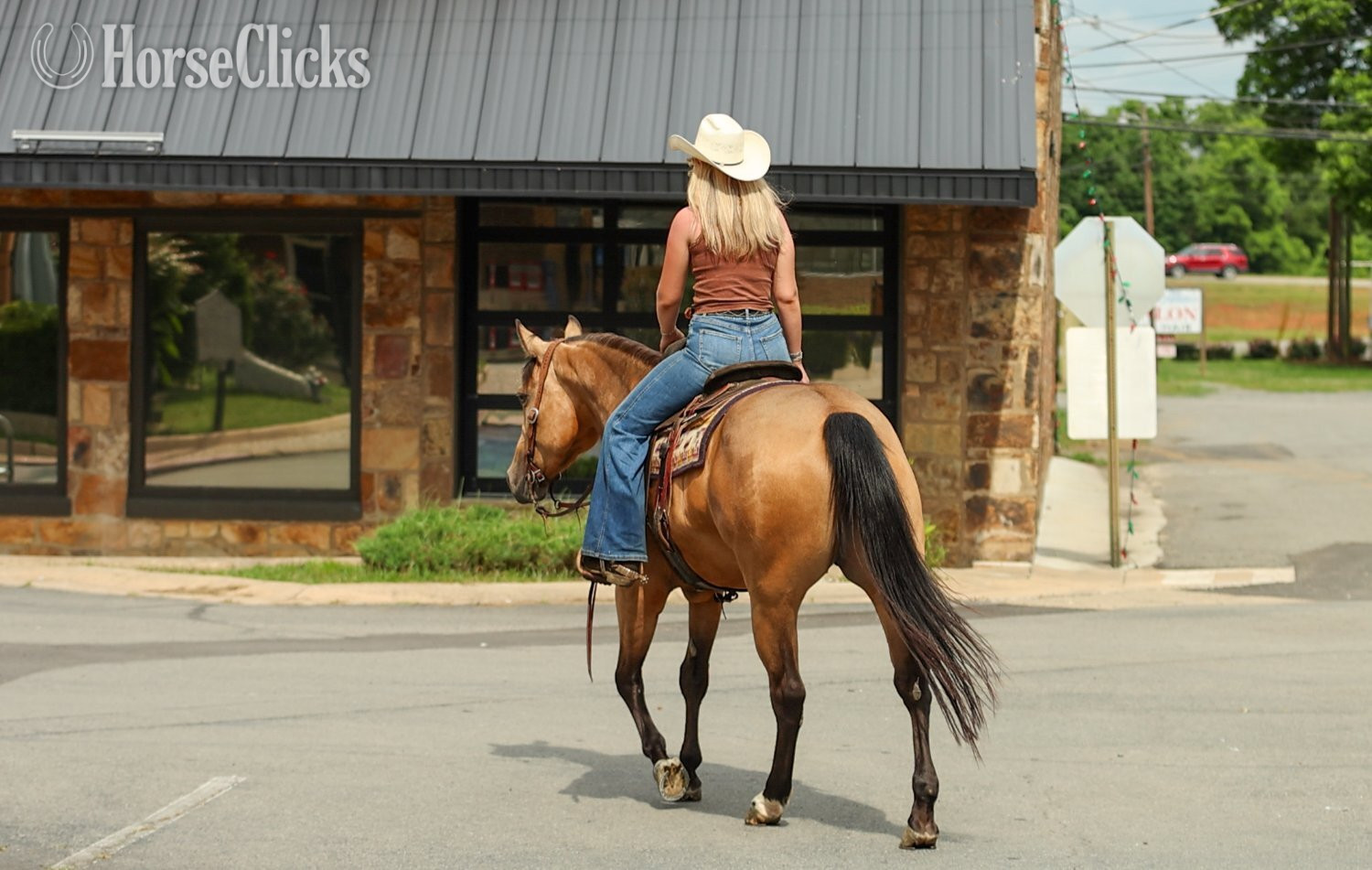 Arkansas "Maggie" Buckskin Mare Quarter Horse