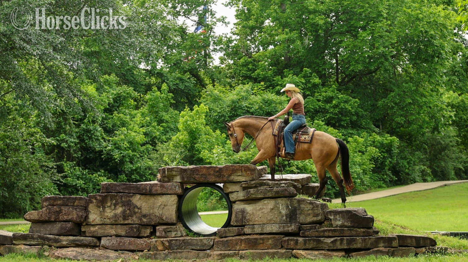 Quarter Horse - "Maggie" Buckskin Mare Quarter Horse in Arkansas