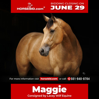 "Maggie" Buckskin Mare Quarter Horse