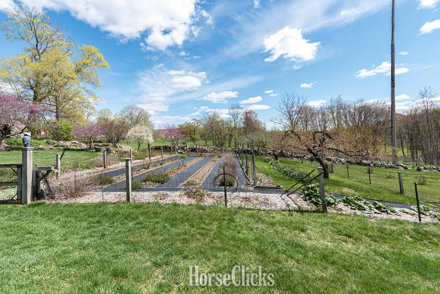 Ruby Belle, a private vineyard and residence. Connecticut