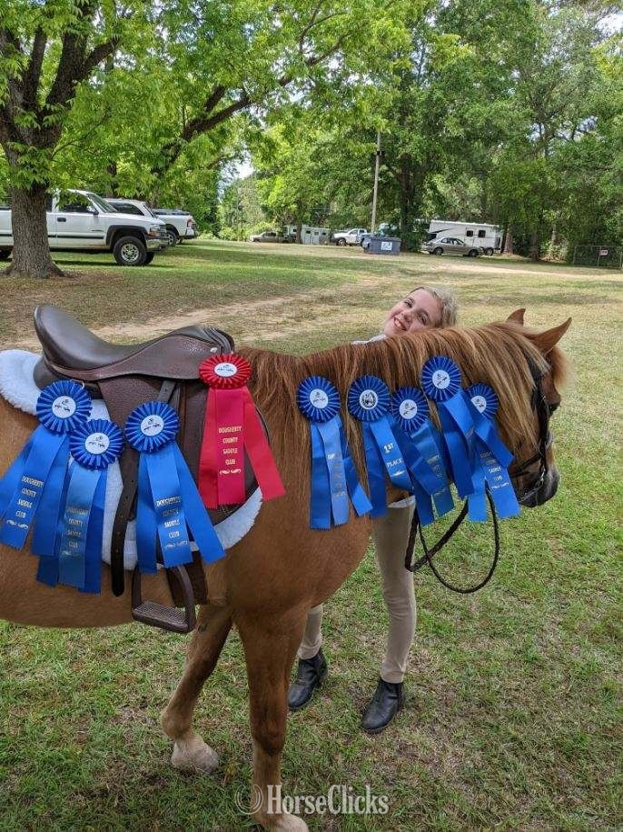 "Jo" Dun Mare Pony in Georgia