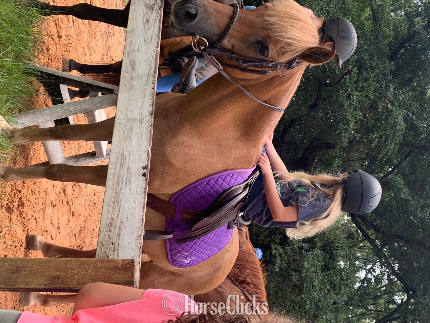 Georgia "Jo" Dun Mare Pony