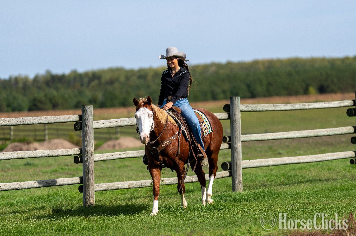 "Sheriff " Sorrel Gelding Paint - Paint in Minnesota
