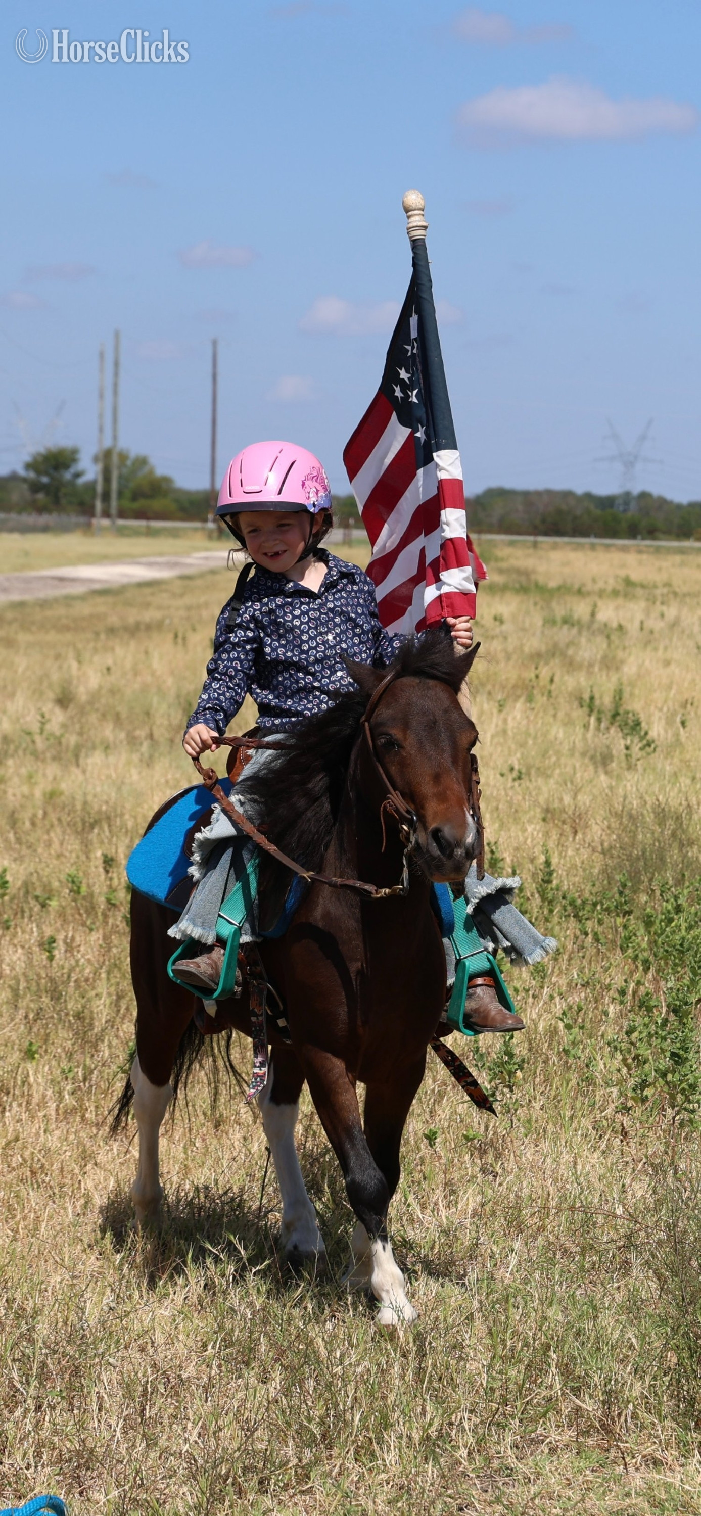 "Royal" Pinto Gelding Pony - Pony in Texas
