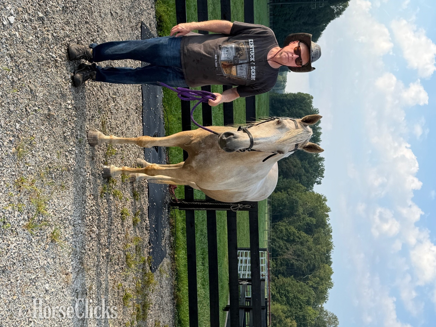 "Savannah (smiths cotton candy)" Palomino Mare Tennessee Walker in Indiana