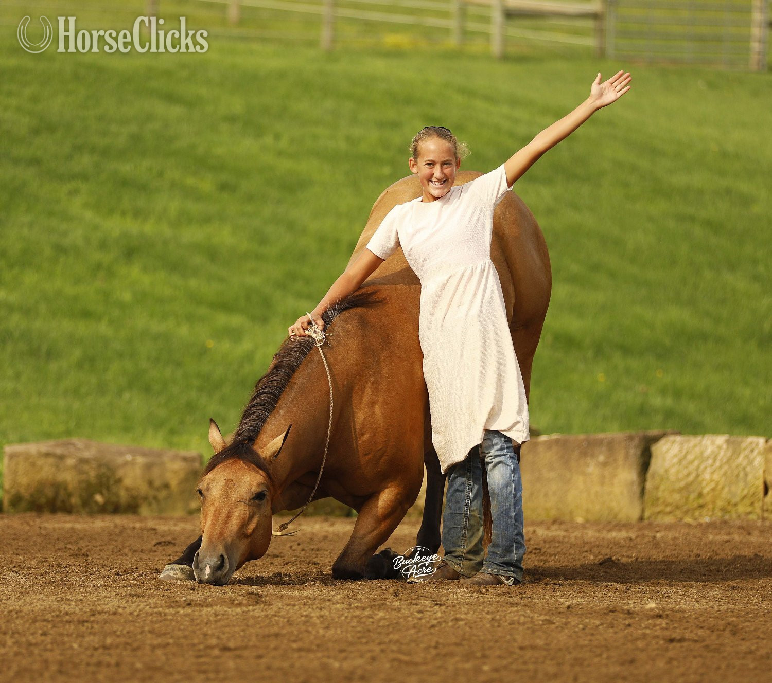 "MR CC" Buckskin Gelding Quarter Horse