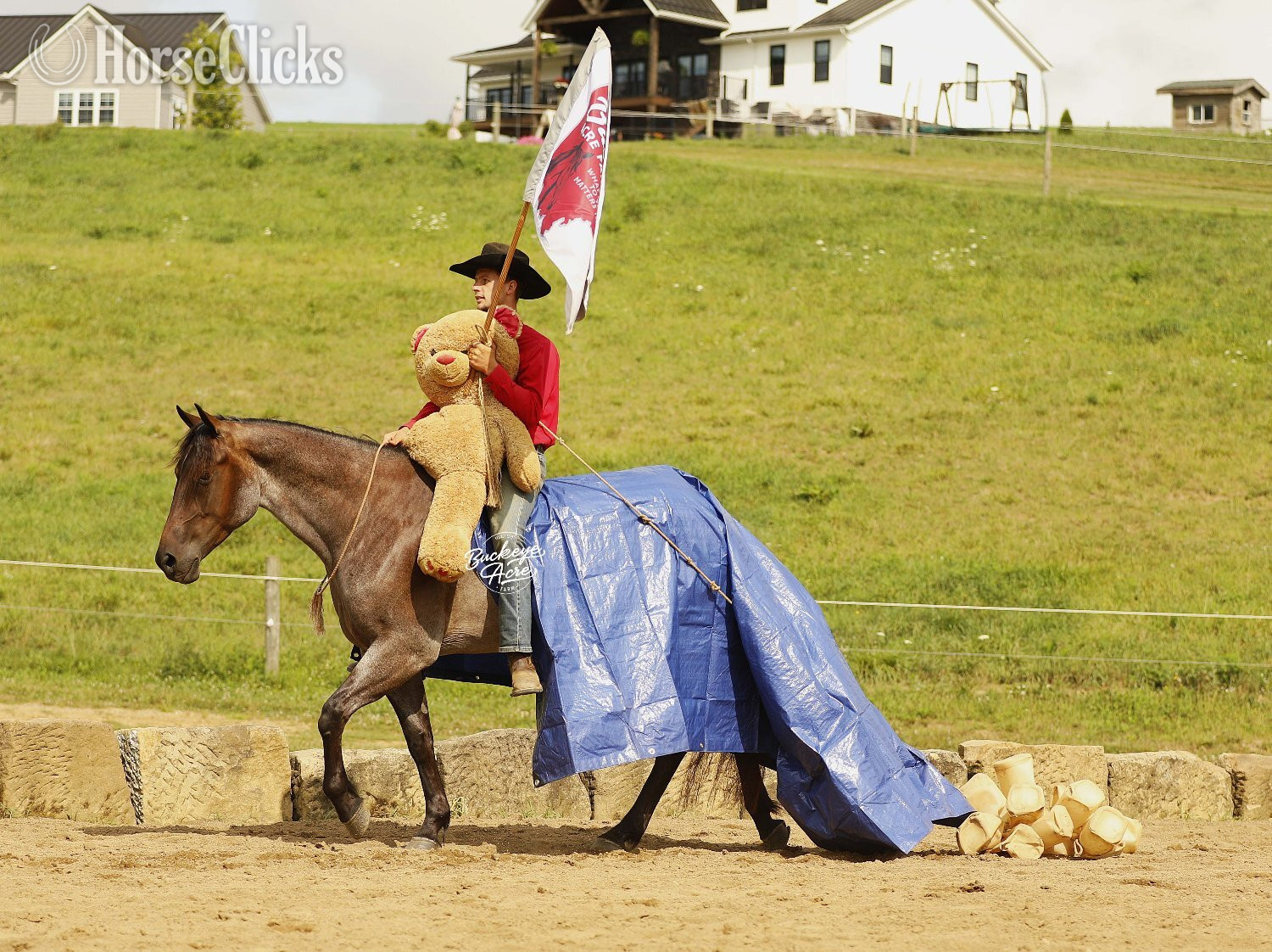 "Furlo" Bay Roan Gelding Quarter Horse in Ohio