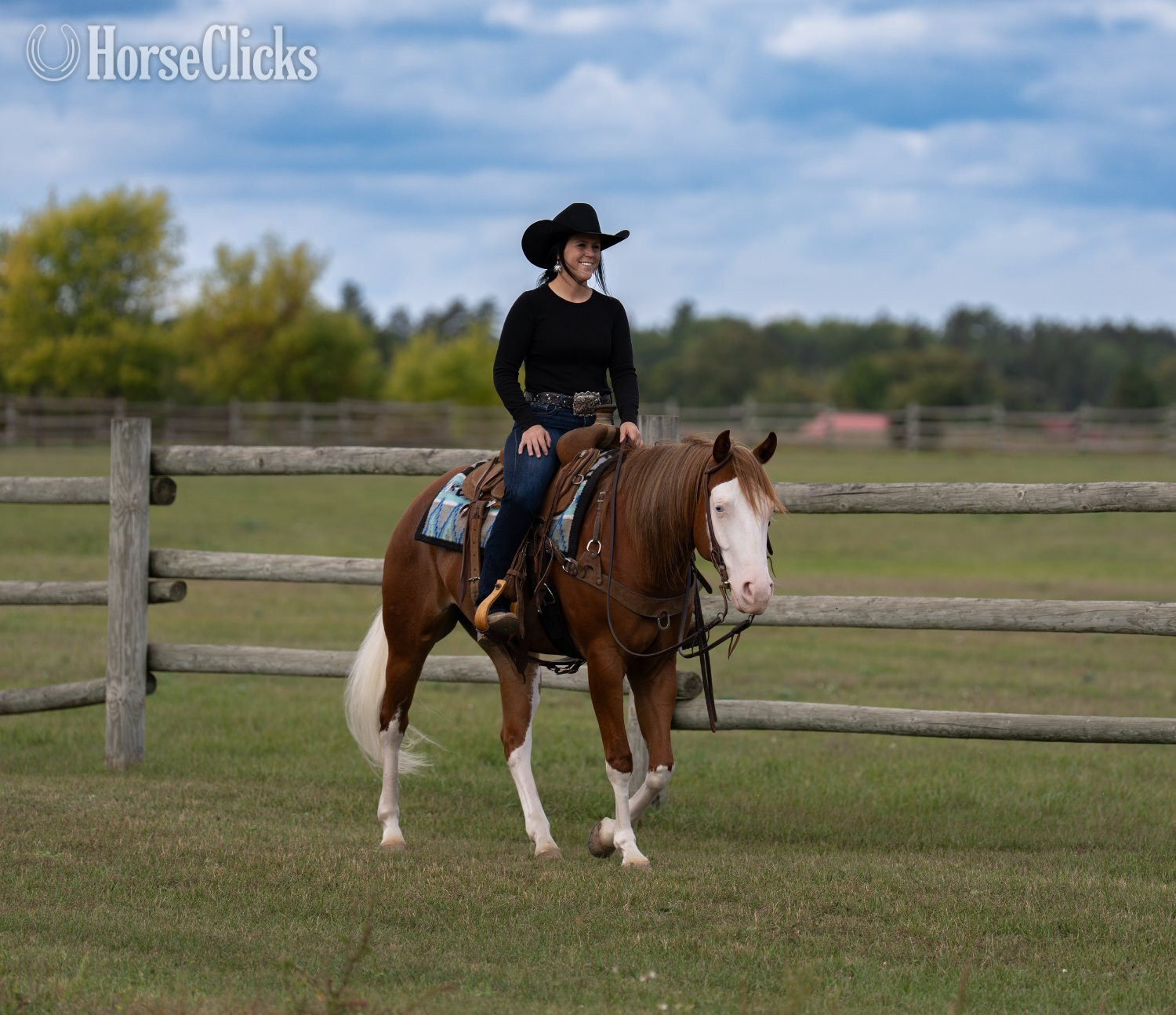 "Galaxy " Sorrel Gelding Quarter Horse Minnesota