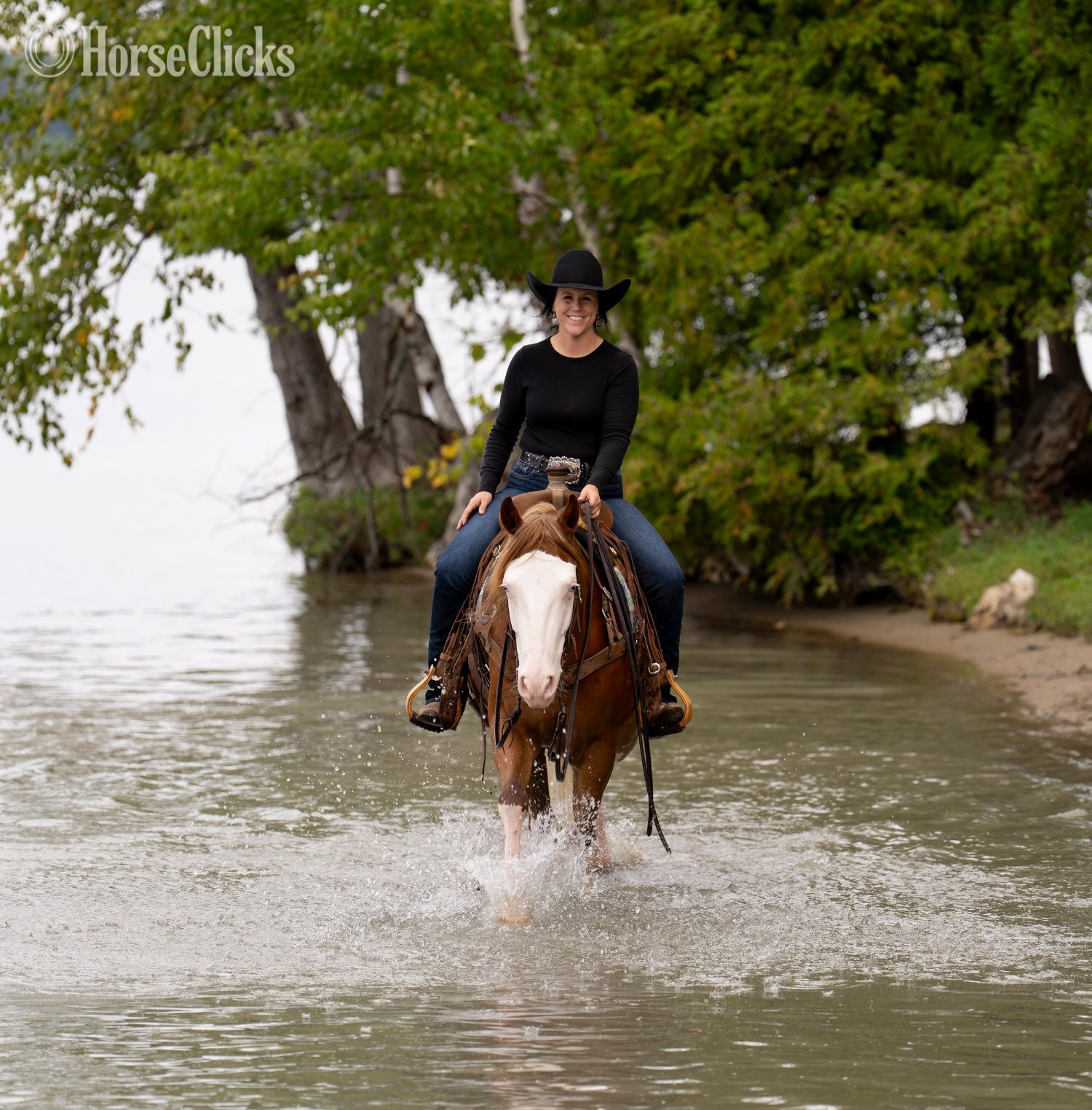 Quarter Horse - "Galaxy " Sorrel Gelding Quarter Horse
