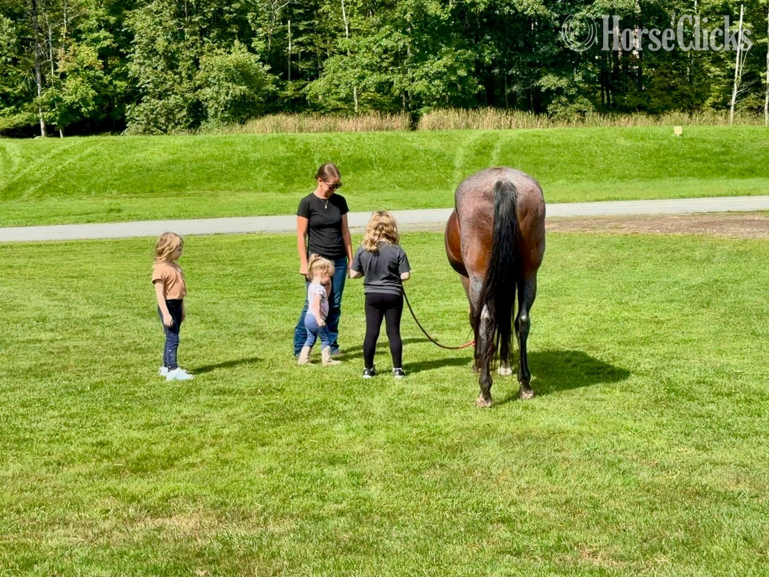 "Annie" Bay Roan Mare Quarter Horse - Quarter Horse in Pennsylvania