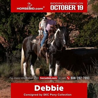 "Debbie" Piebald Mare Pony